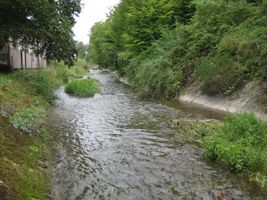 Bojovský potok 1-Měchenice 12.8.10 (2).jpg